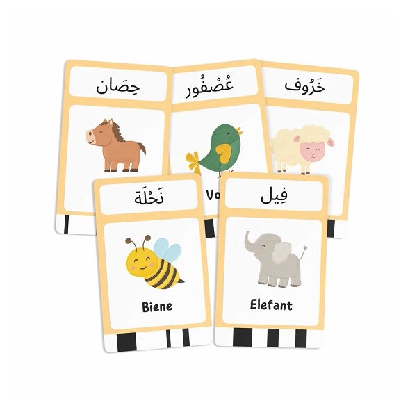 Arabische Vokabeln - Flashcards